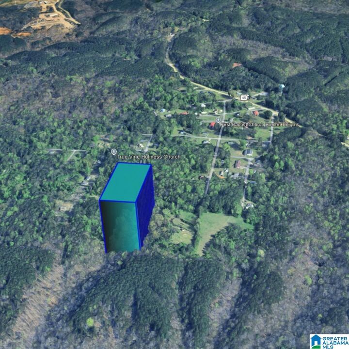 Property Photo:  1015 Douglas Avenue 9  AL 35118 