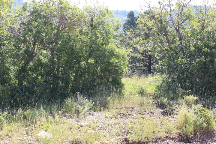 Property Photo:  2267 S High Mountain View Dr  UT 84720 