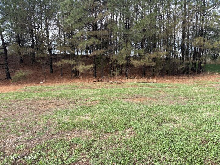 Property Photo:  1565 Bobcat Run Drive  TN 37774 