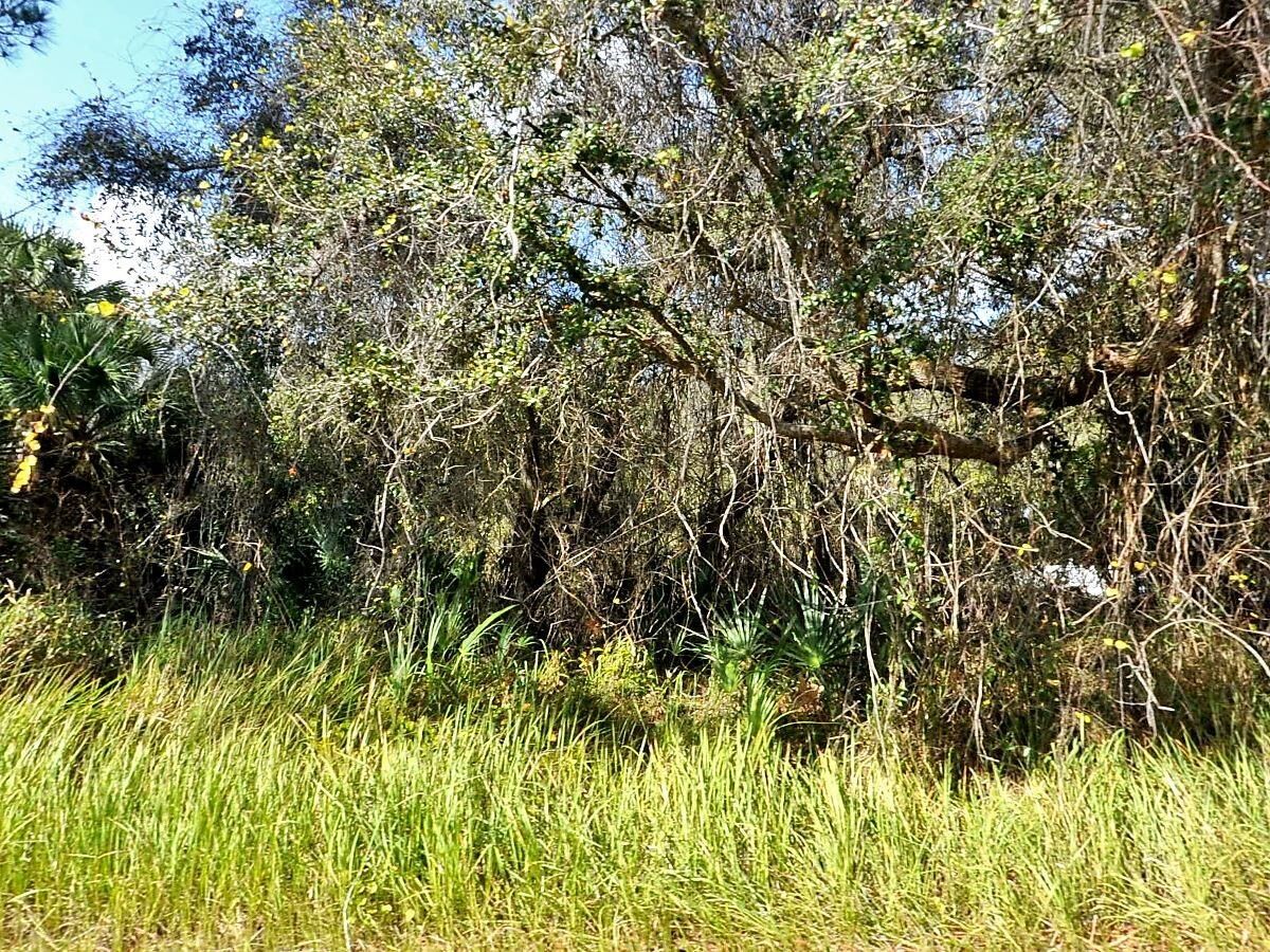 Property Photo:  Kacher Road  FL 34288 