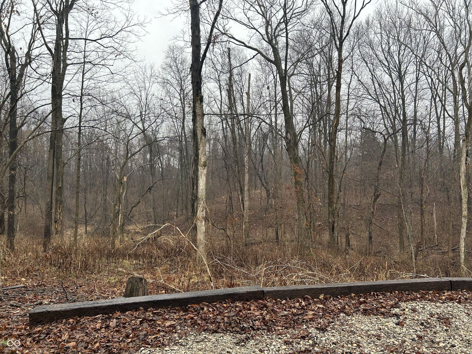 Property Photo:  7793 S Howard Prince Drive  IN 46164 