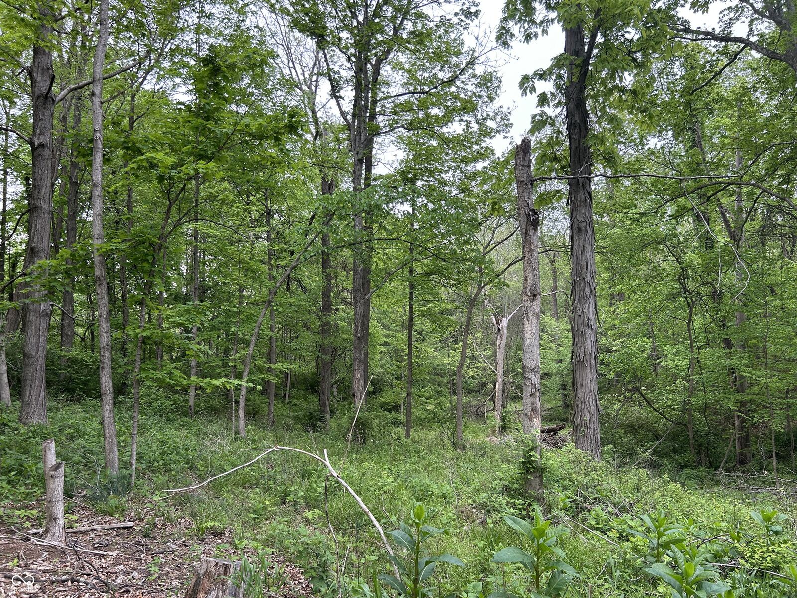 Property Photo: 0 S Howard Prince Drive IN 46164