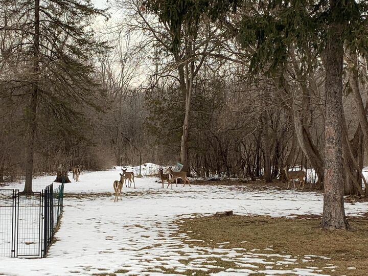 Property Photo:  4426 Northwestern Ave  WI 53405 