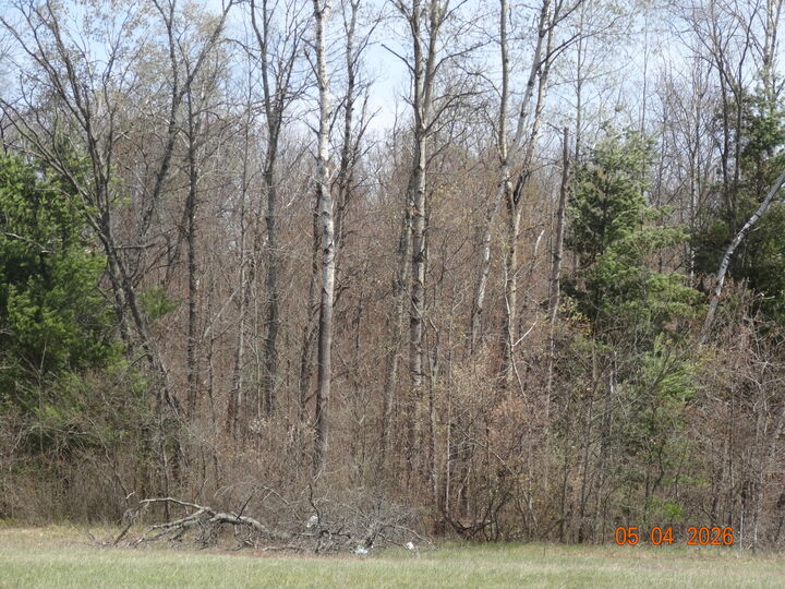 Property Photo:  518 S Oak Avenue  MI 49349 