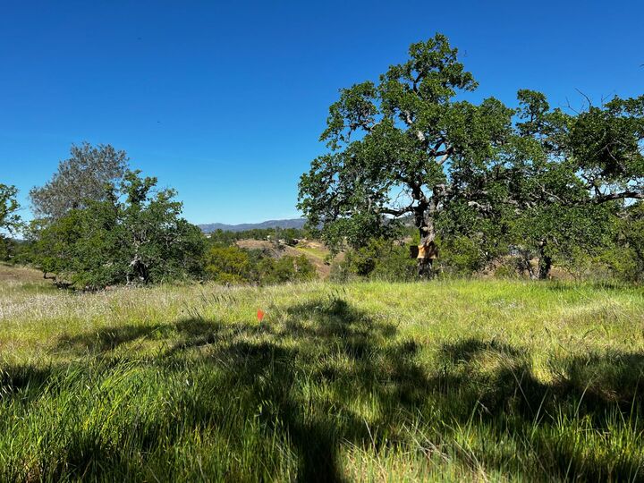 Property Photo: 2211 Buena Vista Drive CA 95329