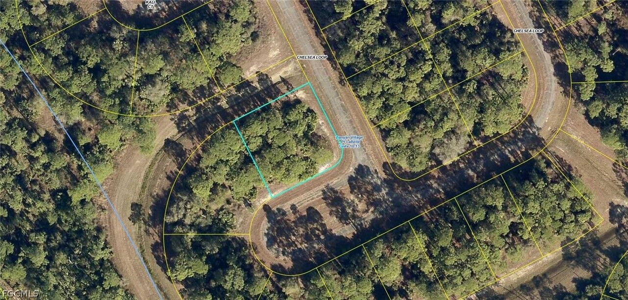 Property Photo:  433 Chelsea Loop  FL 33935 