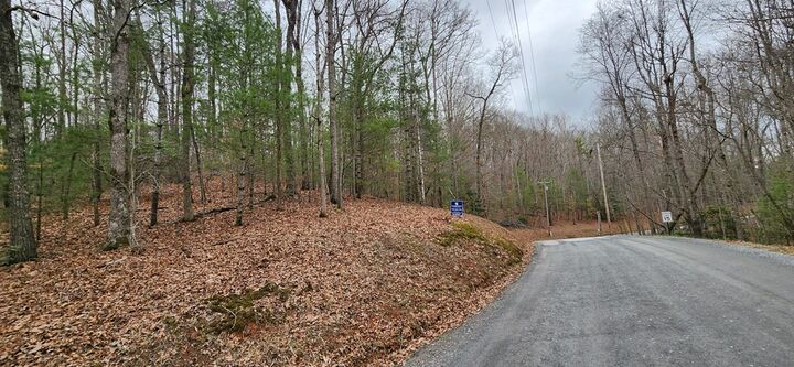 Property Photo: Lot 13 Mangums Trail GA 30513