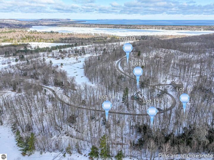 Property Photo:  Lot 6 S Club Drive  MI 49621 