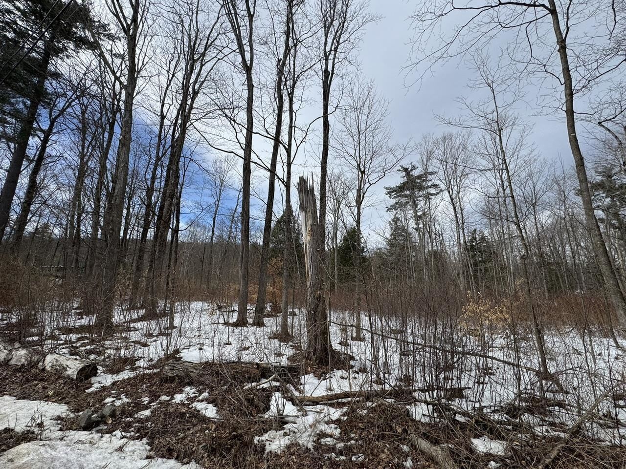 Property Photo:  17 Chamberlain Drive  VT 05769 