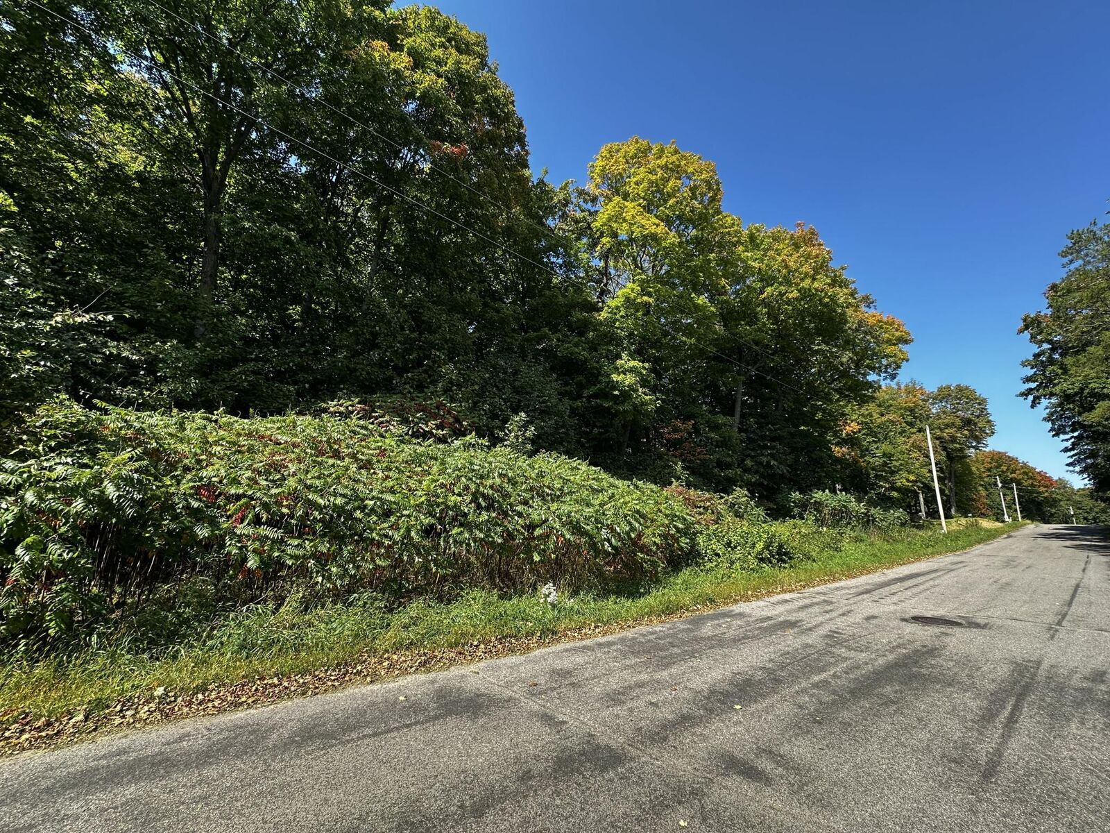 Property Photo: Lots 120 &Amp 121 Earle Brown Drive MN 56450