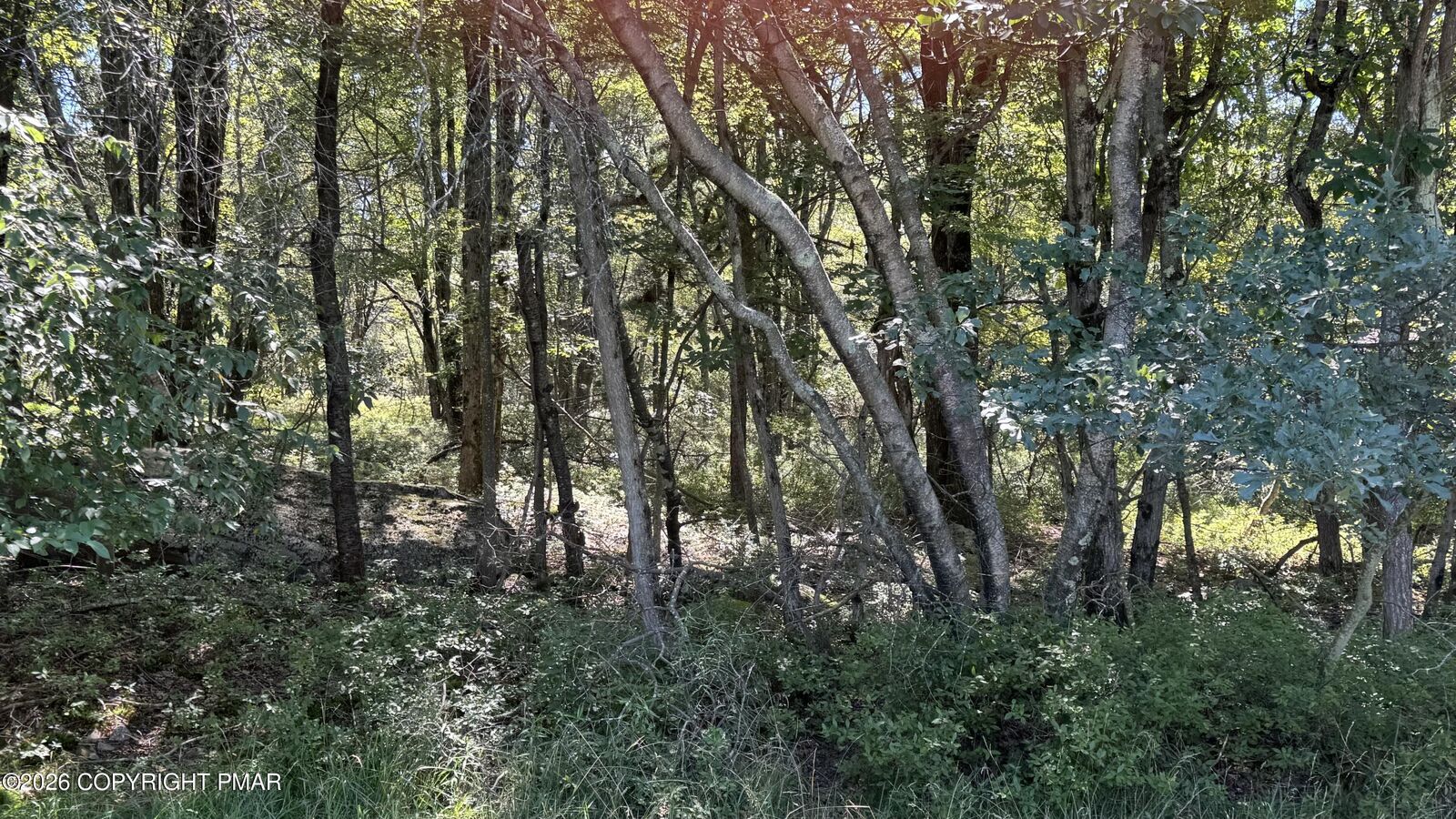 Property Photo:  Lot 45 Elk Dr Lot 45 Drive  PA 18610 