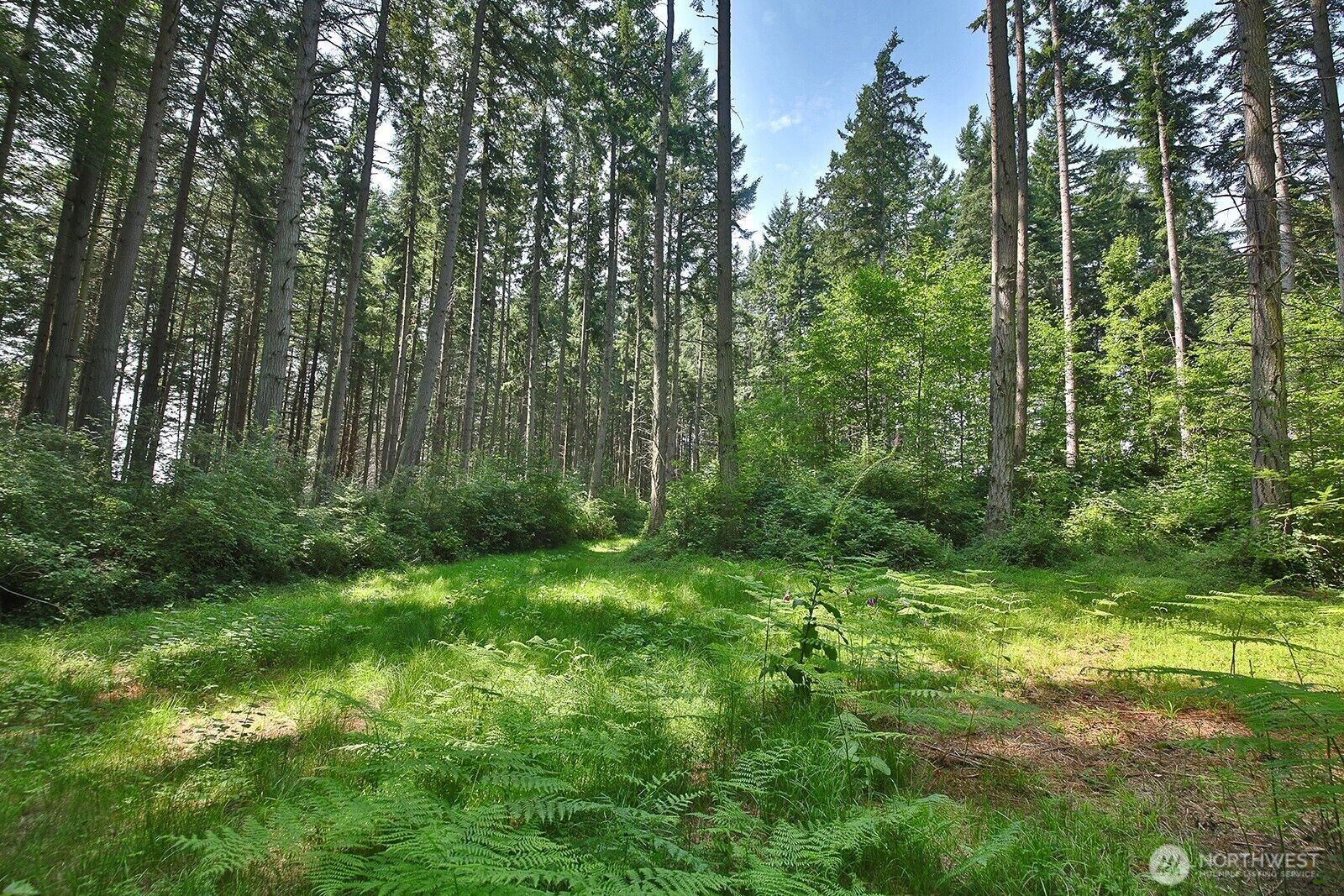 Property Photo:  0 Xxx  Hellman Road  WA 98236 