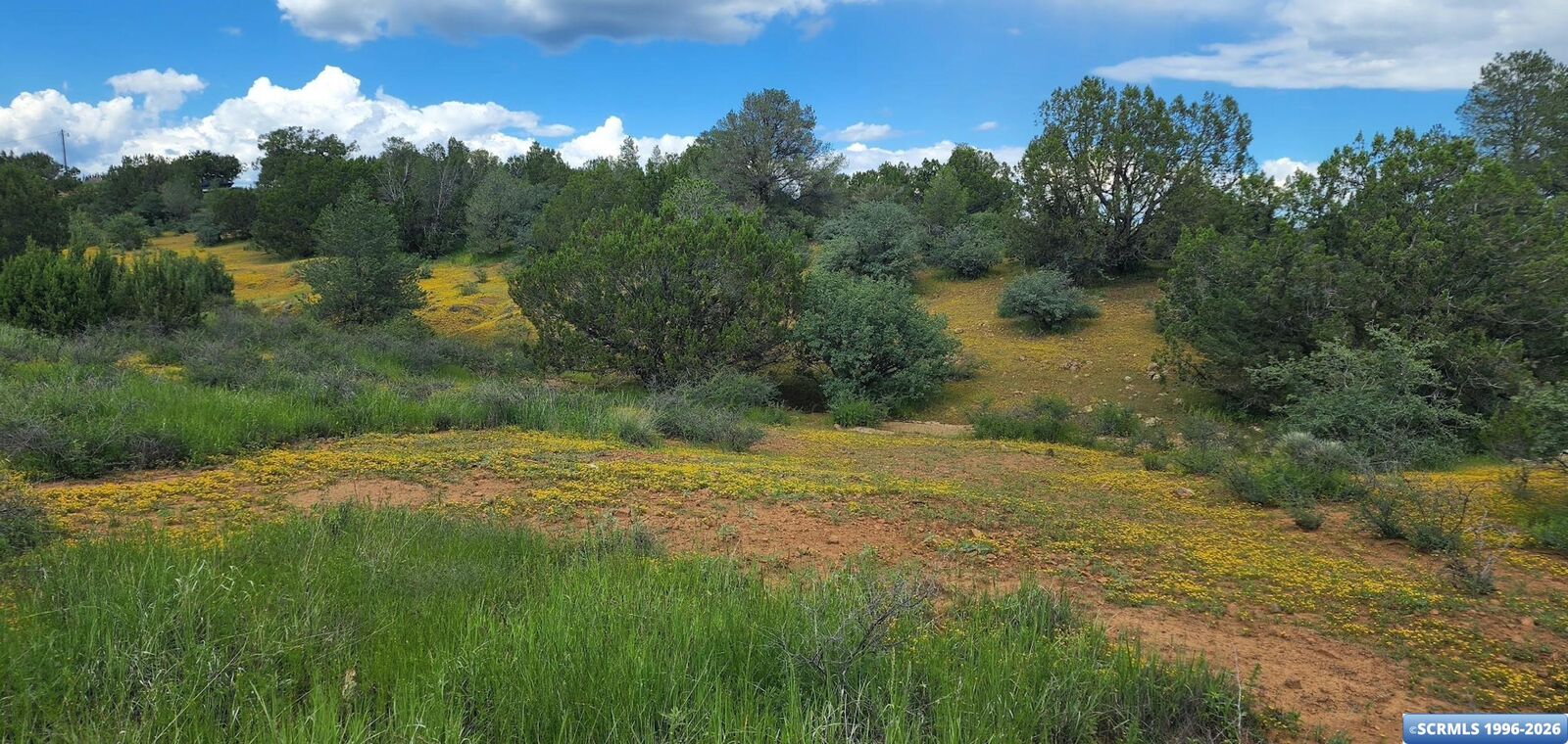 Property Photo:  Unk Logan Road  NM 88061 