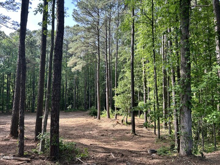 Property Photo:  1123 Wake Robin Lane  NC 27519 