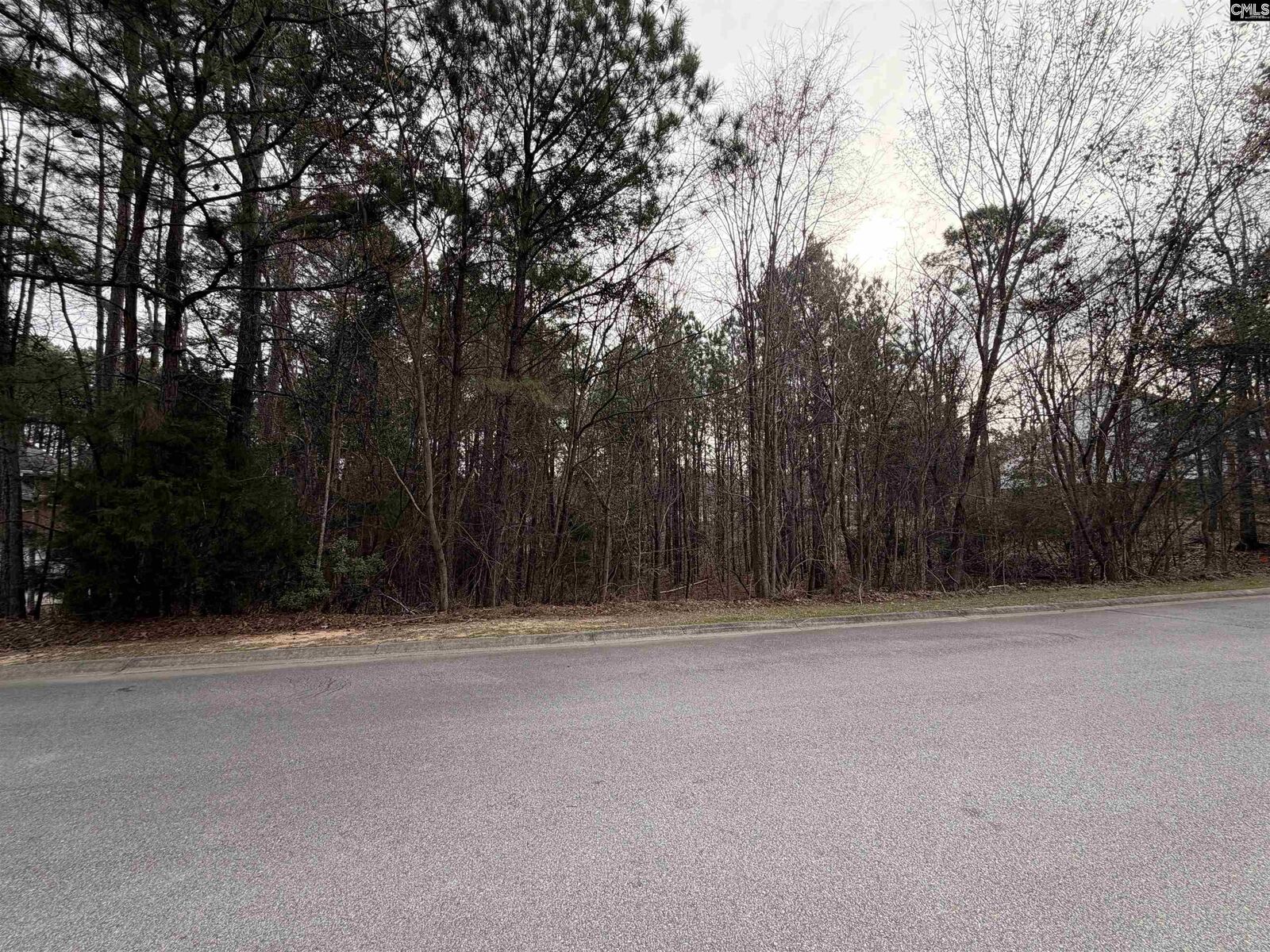 Property Photo:  1334 Camping  SC 29054 