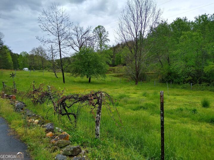 Property Photo:  595 Wildlife Trail  GA 30560 