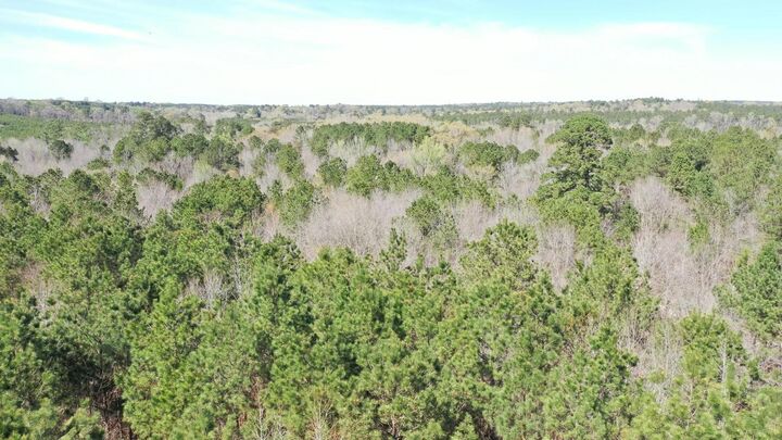 Property Photo:  0000 Farm To Market 1399  TX 75563 