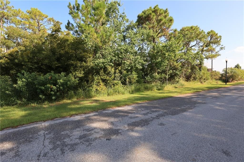 Property Photo:  0 Bayou Drive SE  AL 36561 