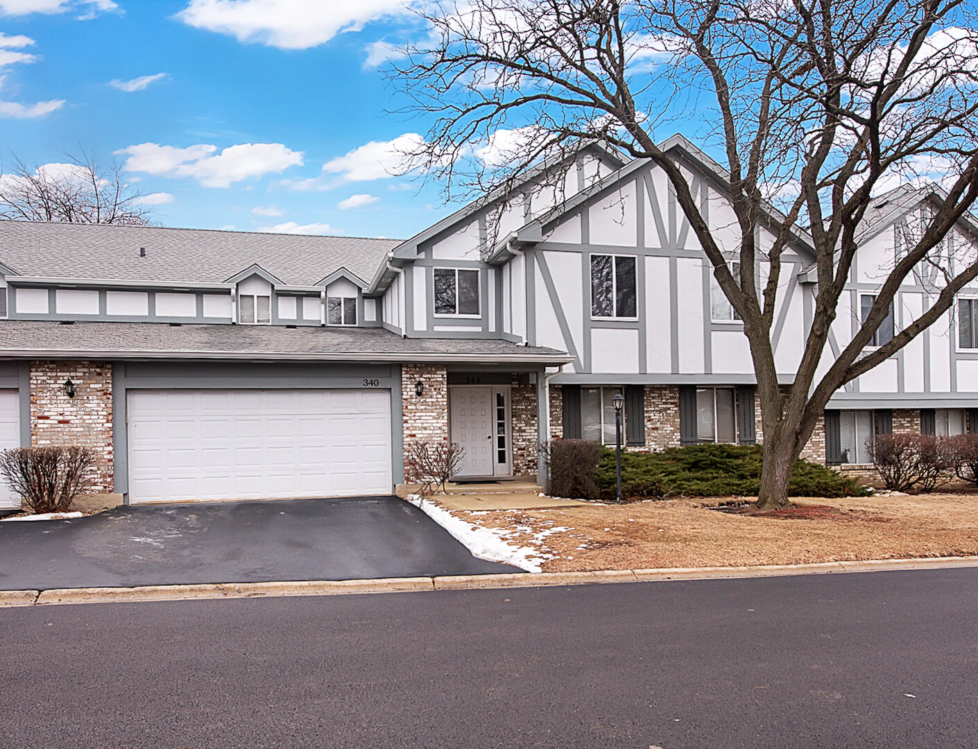 Property Photo:  340 Springlake Lane D  IL 60504 