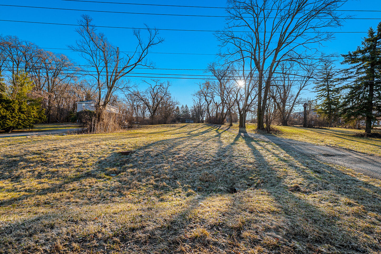 Property Photo: 16809 Wolf Road IL 60467