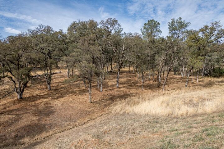 Property Photo: 23272 Darkhorse Drive CA 95602