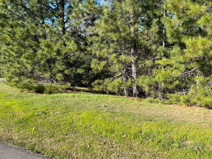 Property Photo: 23717 Darkhorse Drive CA 95602