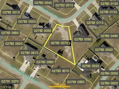 Property Photo:  224 NW 28th Terrace  FL 33993 