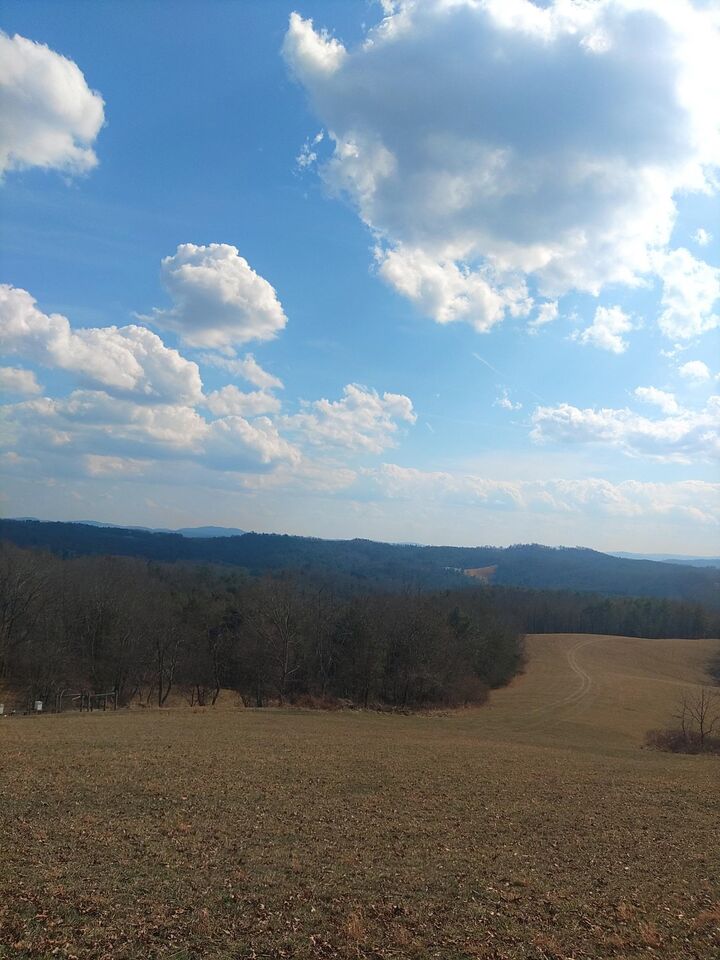 Property Photo:  Tbd Dobbins Hollow Road  VA 24149 