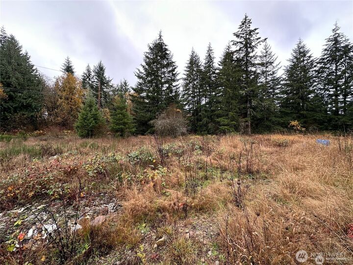 Property Photo:  144  Avery Road A  WA 98532 