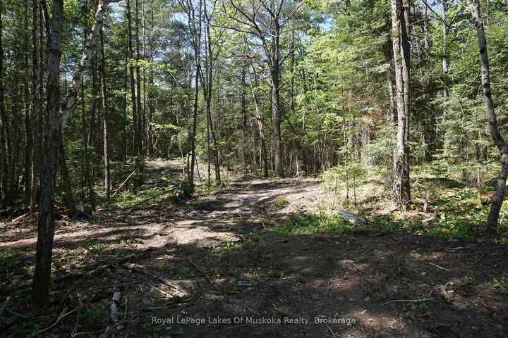 Property Photo:  Lot 1 Fairy Falls Road NW  ON P0B 1A0 