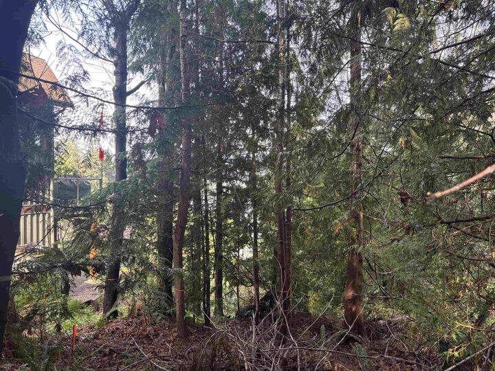 Property Photo:  Lot 39 Sandy Hook Road  BC V0N 3A7 