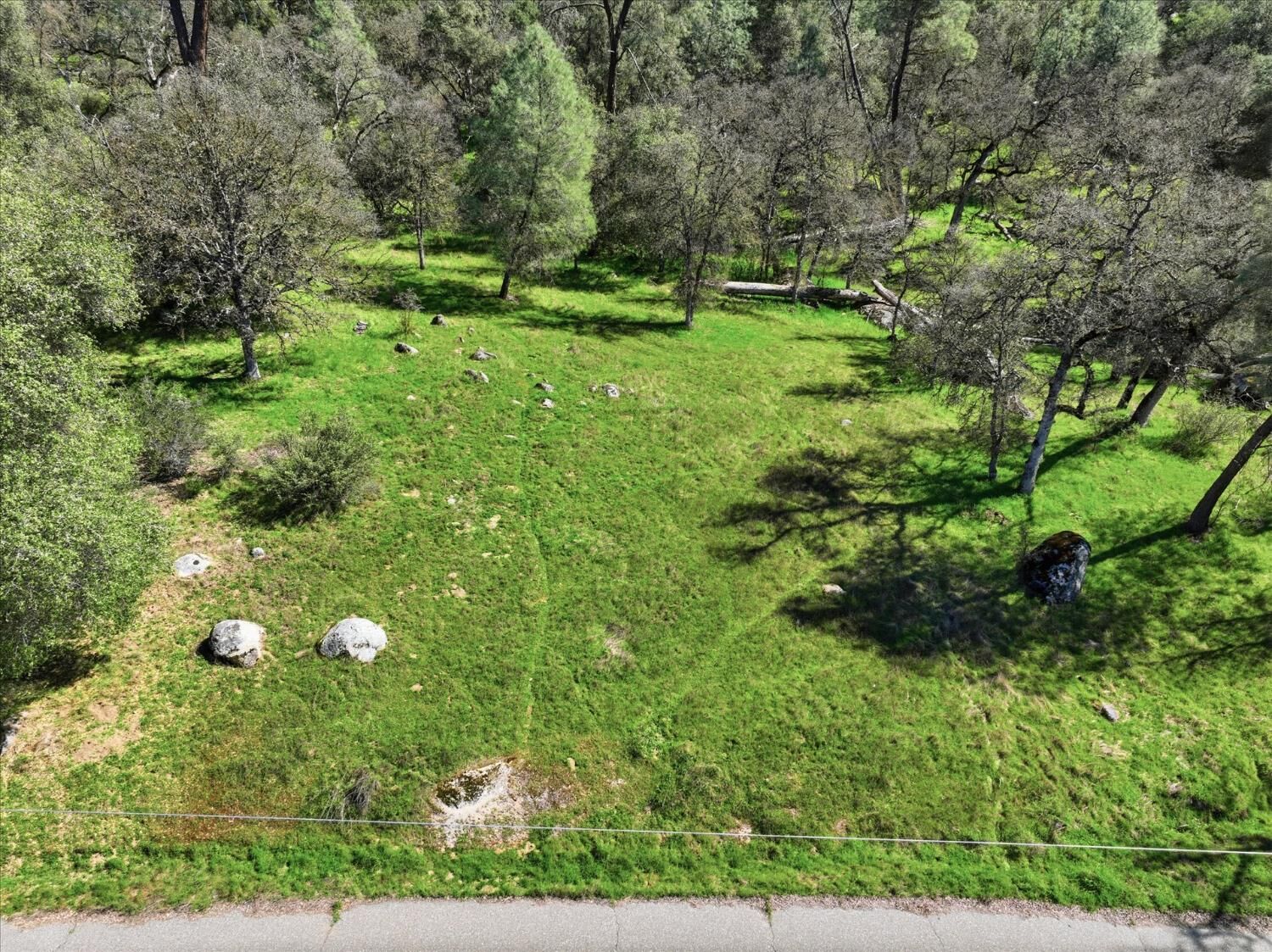 Property Photo: 4260 Burl Drive CA 95338
