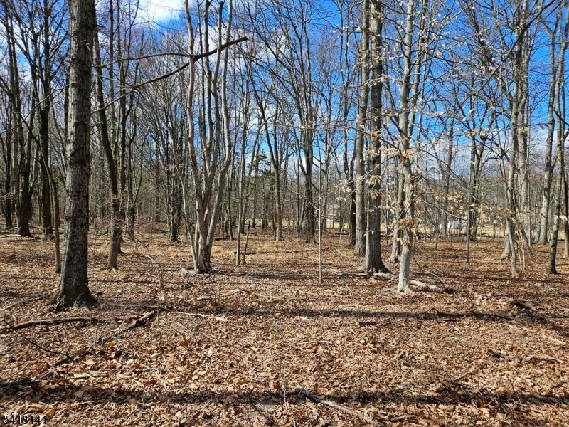 Property Photo:  33 Featherbed Ln  NJ 08822 