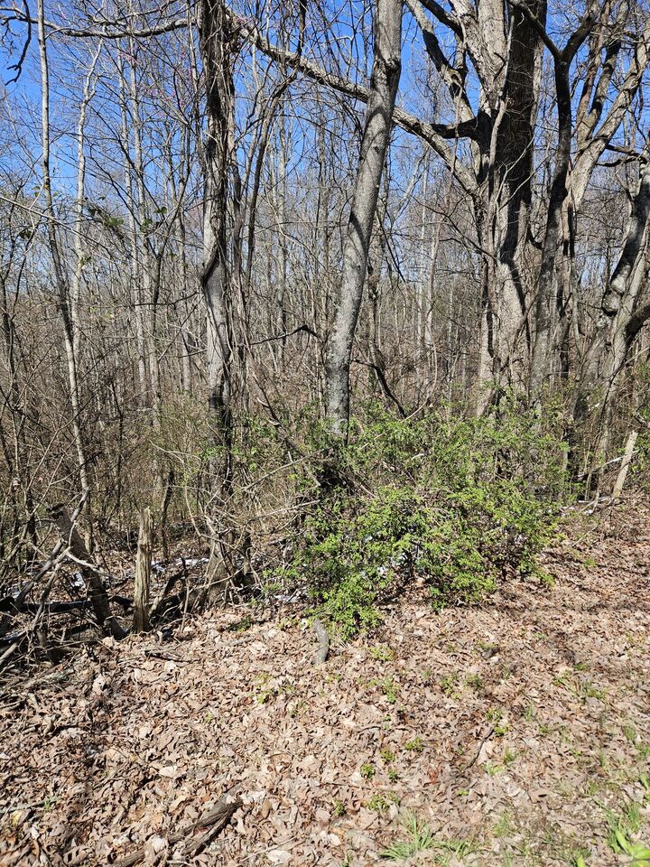 Property Photo:  0 Lakeview Dr  TN 37166 