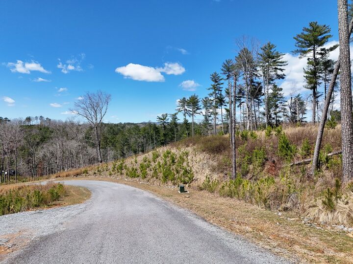 Property Photo:  Lot 253 High River Crossing  GA 30540 