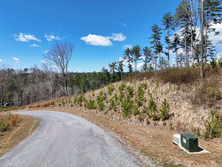 Property Photo: Lot 253 High River Crossing GA 30540