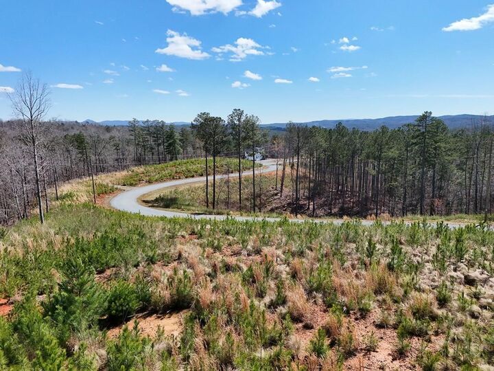 Property Photo:  155 Shallow Water Trail  GA 30175 