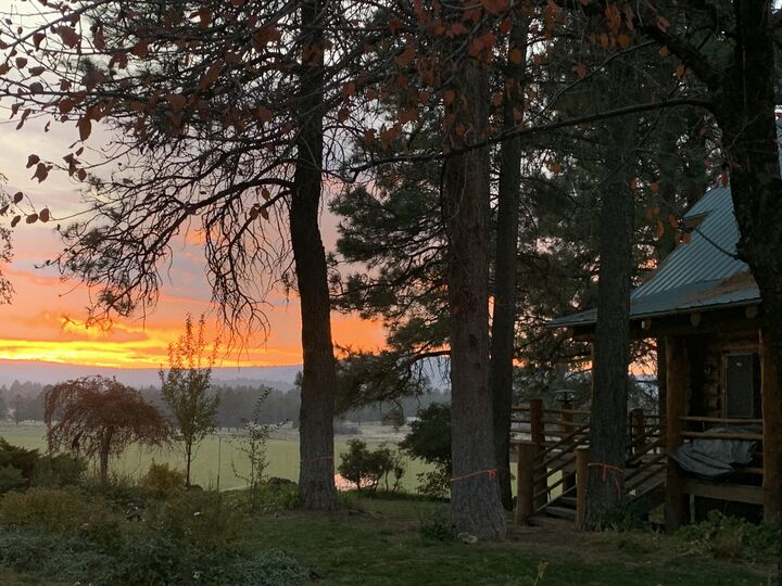 Property Photo:  11010 Yonna Loop Drive  OR 97623 