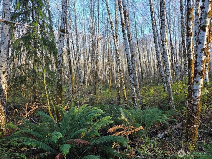 Property Photo:  0 Mp 15.8  North River Road  WA 98537 