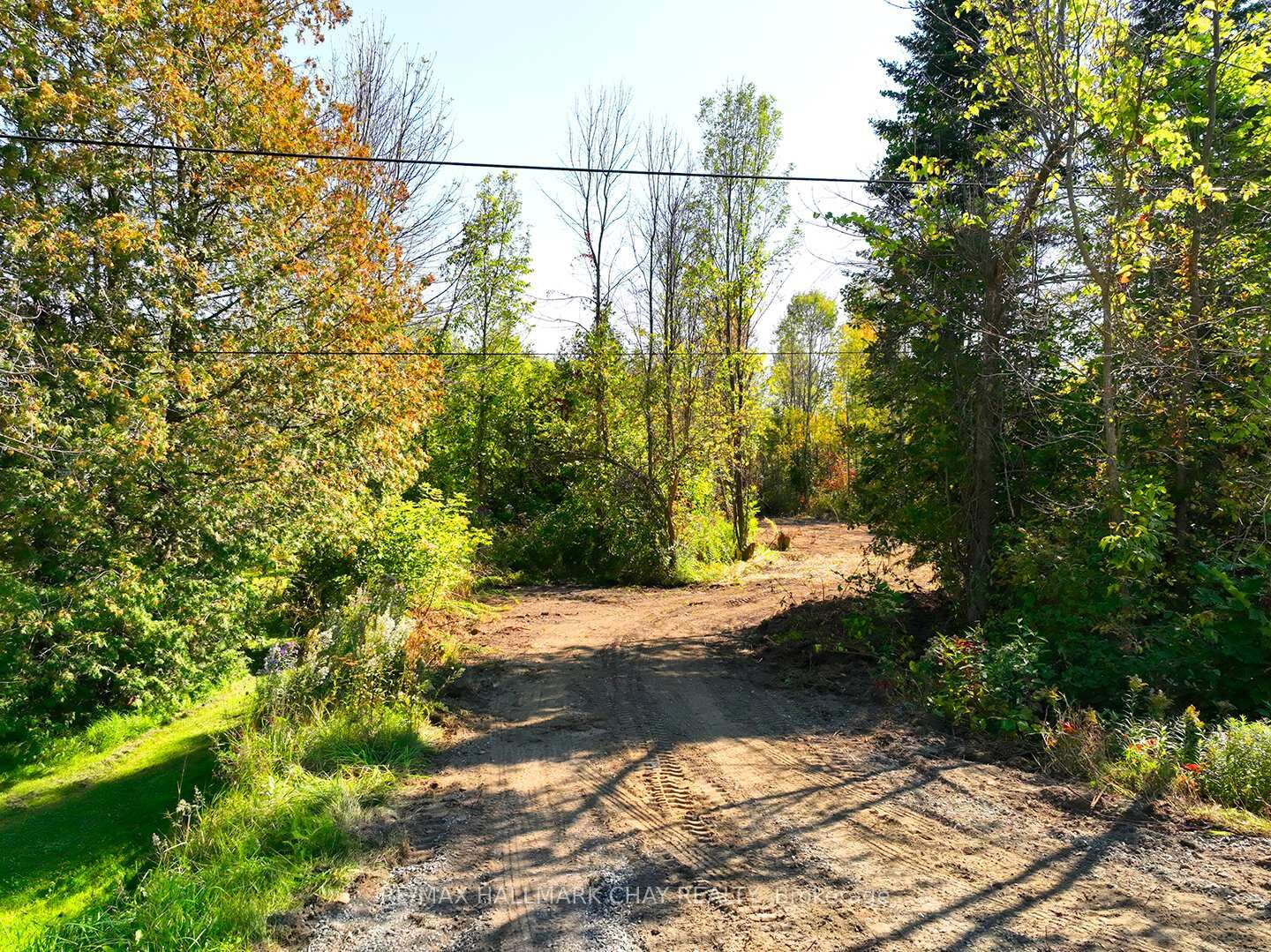 Property Photo:  41 Bass Bay Drive  ON L0K 2A0 