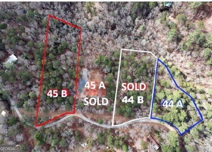 Property Photo:  Lot 45B Synacia Drive  GA 30559 