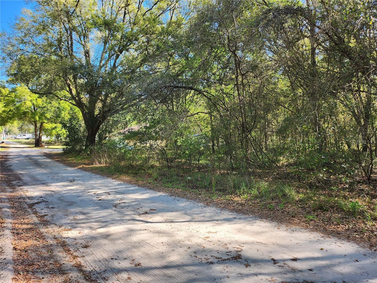Property Photo:  Tbd SE 36th Court  FL 34491 