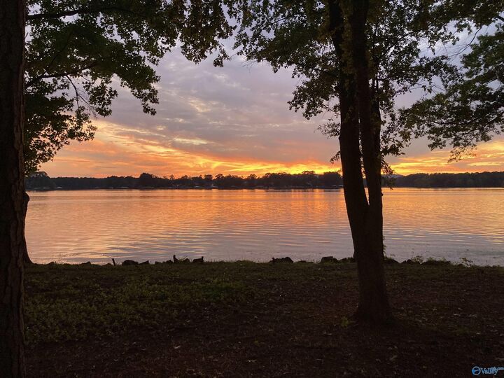 Property Photo:  3398 Lakeshore Drive  AL 35769 