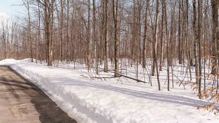 Property Photo: Tbd S Black Rock MI 49740