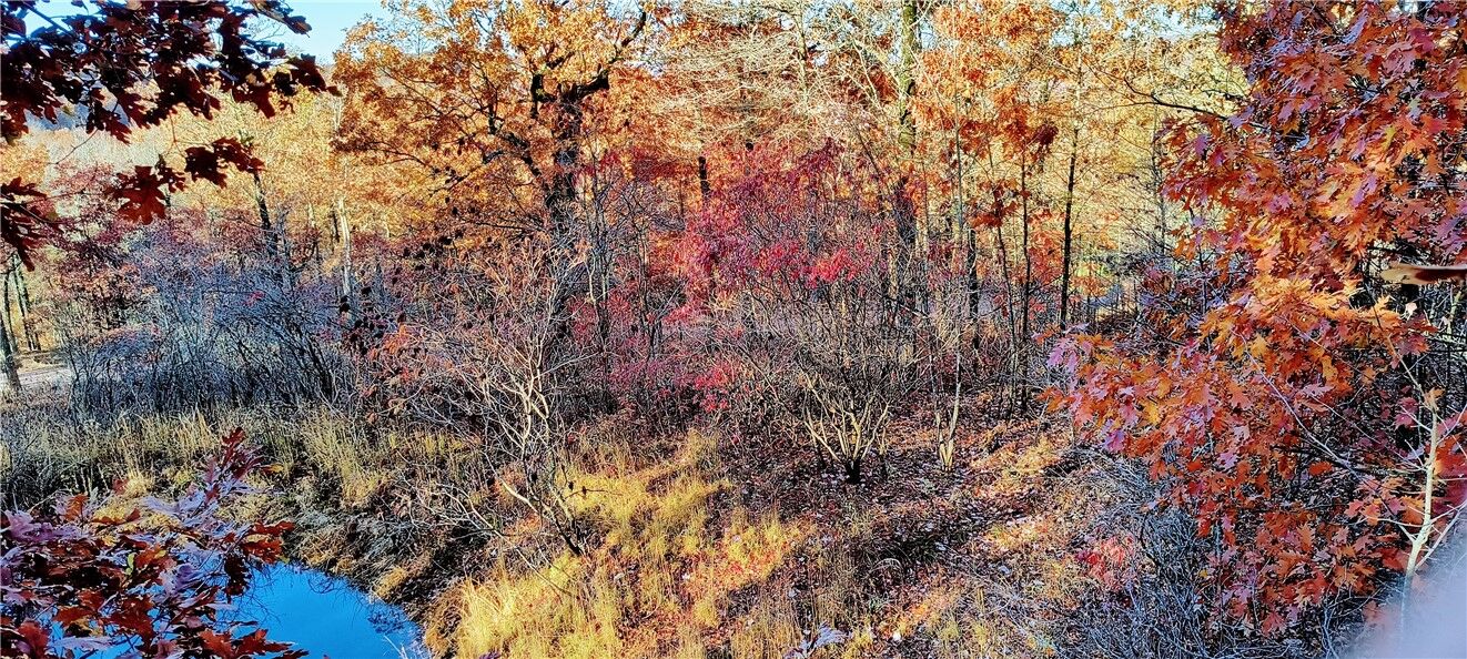 Property Photo: 10349 Madison 3605 AR 72742