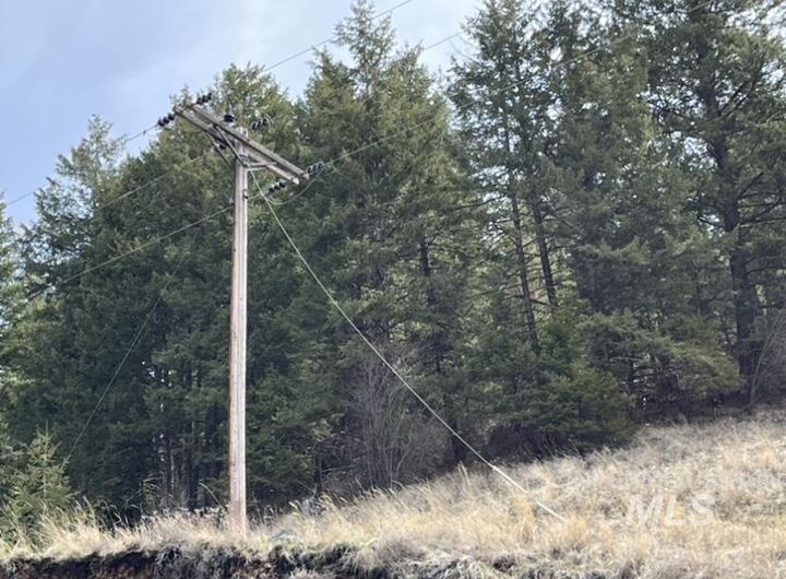 Property Photo: Tbd State Highway 129 WA 99401