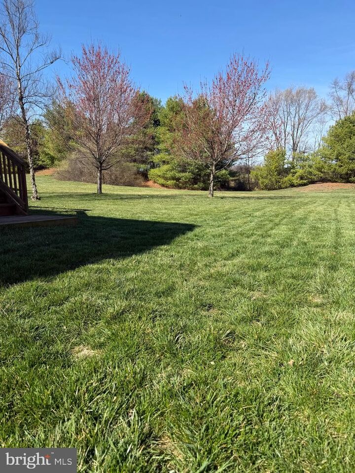 Property Photo:  866 Merrimans Lane  VA 22602 