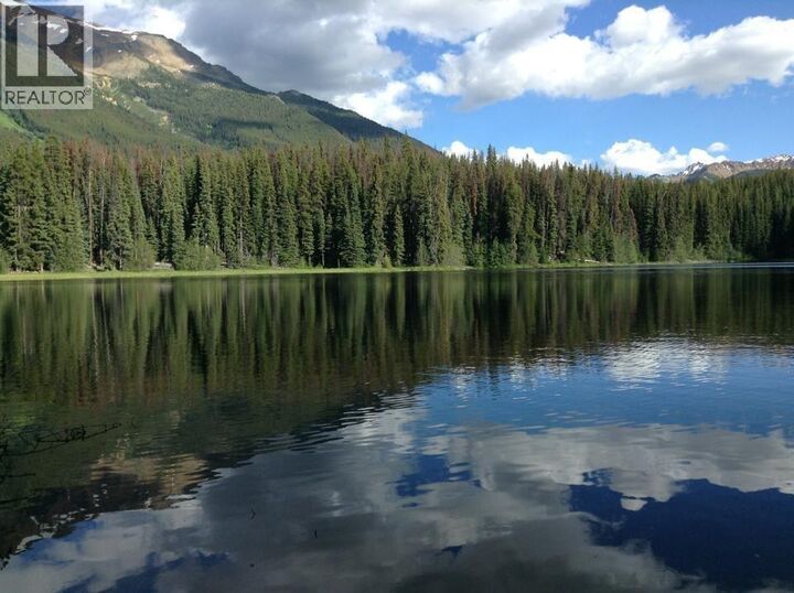 Property Photo: Dl 5374 Mead Lake BC V0K 1P0