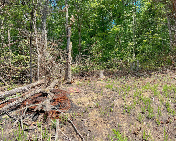 Property Photo:  Lot 6 Block E Unit 3 Parrott Drive  KY 42501 