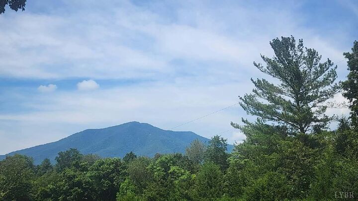 Property Photo:  209 Leatherwood Place  VA 24523 